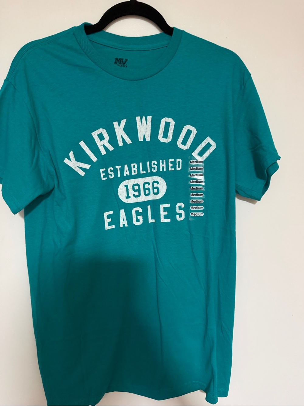 Eagles Teal Graphic Short-Sleeve Tee
